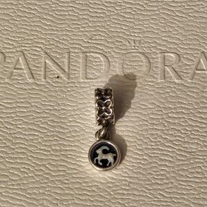 Authentic retired/rare Pandora Capricorn astrology charm